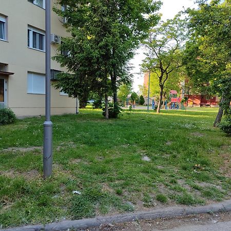 Apartman Studio Blue Szabadka Kültér fotó